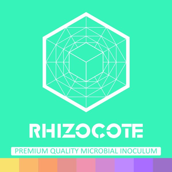 Rhizocote